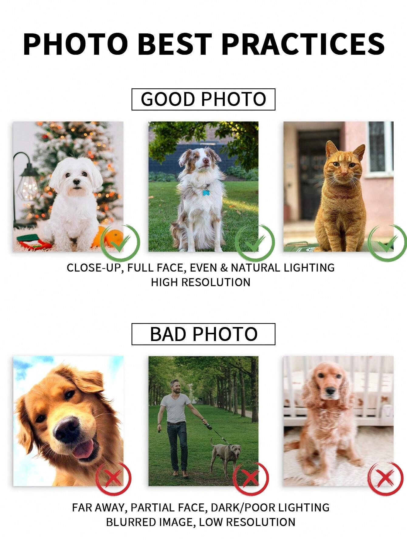 Gepersonaliseerde aquarel huis - Pet Portrait Custom recensie en prijs